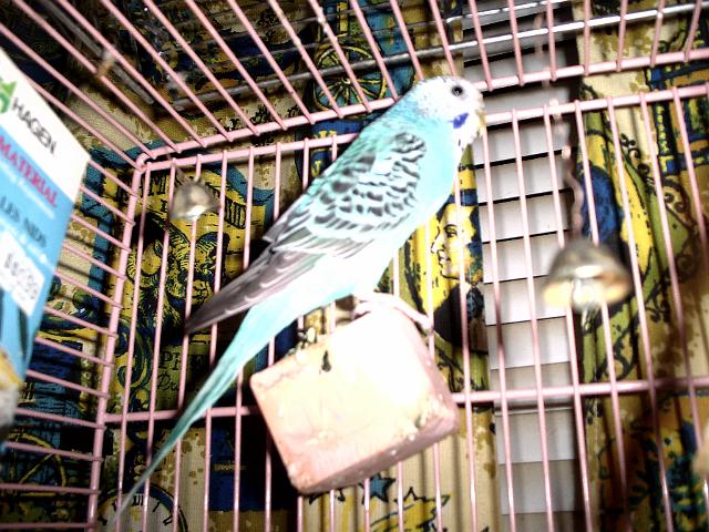 Picture 089.jpg